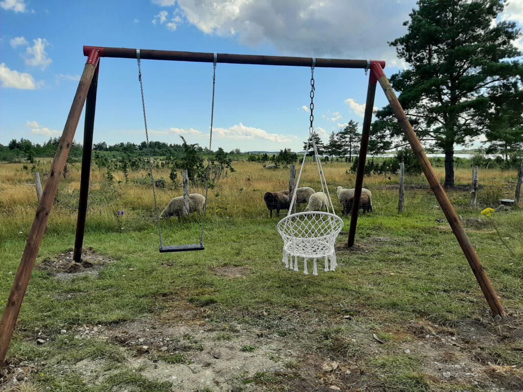 20220730 154345 1024x768