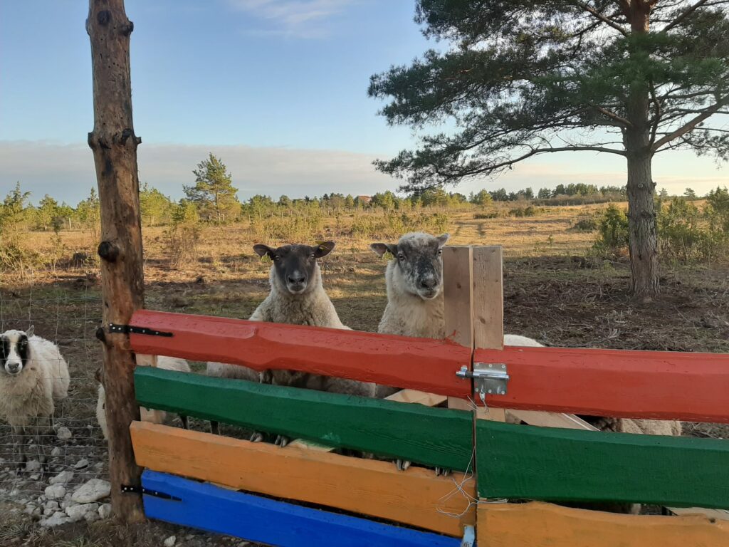 Crafting Captivating Headlines: Your awesome post title goes here